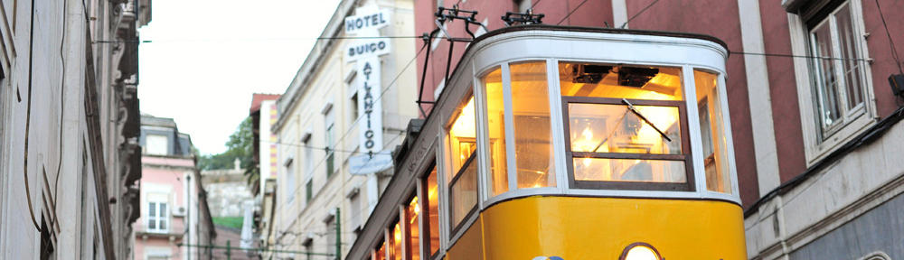 Hollywood Web Designer